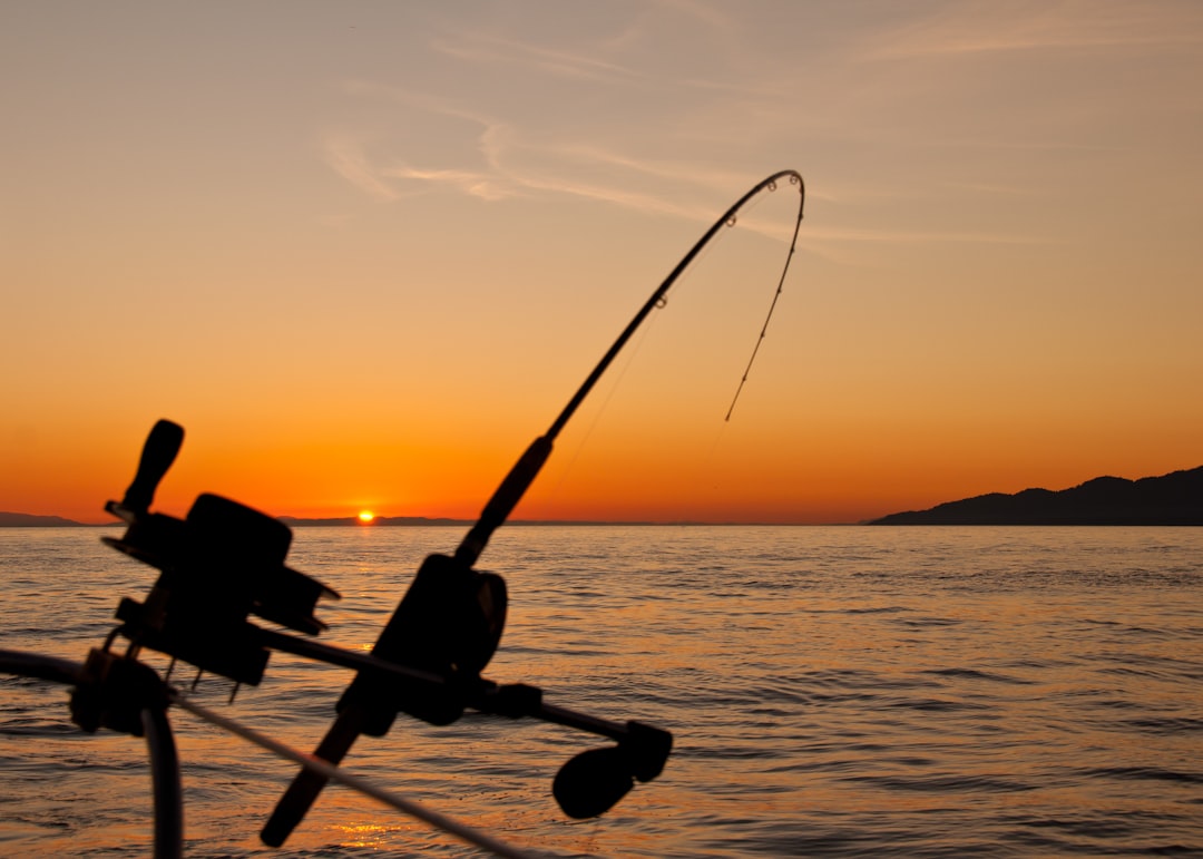 Reeling in Success: Fishing Influencers to Follow