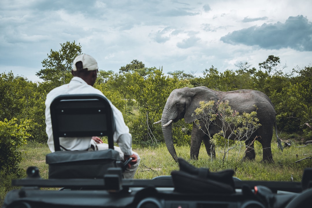 Ultimate Wildlife Vacations: Safari, Birdwatching, and More